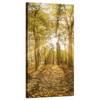 Canvas Print Sun Between Trees in the Forest 40x80 cm
