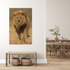 Canvas Print Lion Nature Savannah Wilderness 80x120 cm