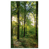 Canvas Print Sun Forest Trees Rays of Light 70x120 cm