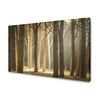 Canvas Print Trees Light Nature Forest 120x80 cm