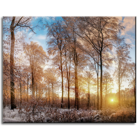 Canvas Print Trees Winter Rising Sun 50x40 cm