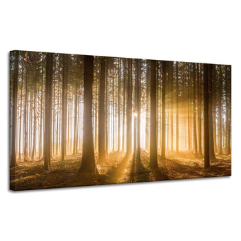 Canvas Print Sun in the Forest Light Tree 120x60 cm