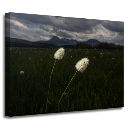 Canvas Print Nature Wildflowers 40x30 cm