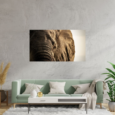 Canvas Print Elephant Face Eye Nature 100x80 cm