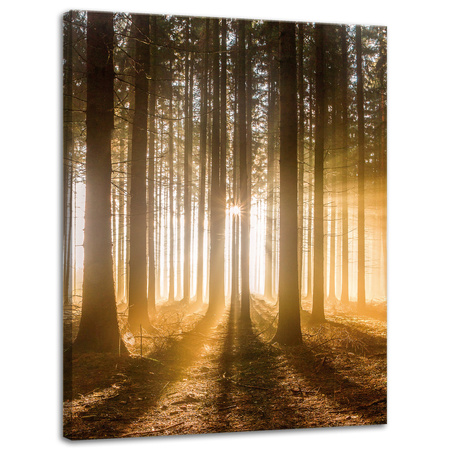 Canvas Print Sun in the Forest Light Tree 30x40 cm