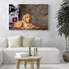 Canvas Print Animals Dog 40x30 cm
