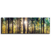 Canvas Print Forest Sun Trees Spring Morning 120x40 cm