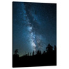 Canvas Print Space Night Forest Nebula 80x120