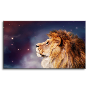 Canvas Print Lion Face Among Stars 100x80 cm