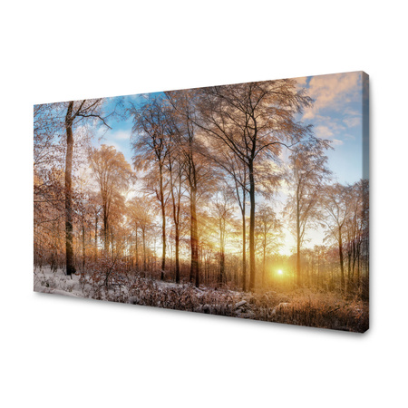 Canvas Print Trees Winter Rising Sun 90x60 cm