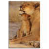 Canvas Print Lioness and Lion Cub Savannah Nature 80x120 cm