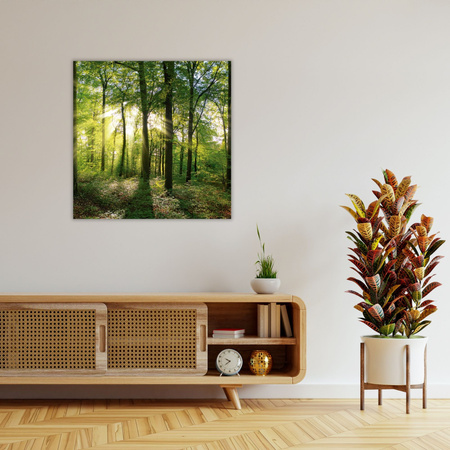 Canvas Print Sun Forest Trees Rays of Light 90X90 cm