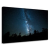 Canvas Print Space Night Forest Nebula 90x60