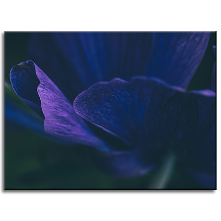 Canvas Print Botany Purple Petals 40x30 cm