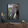 Canvas Print Animals Elephant 30x40 cm