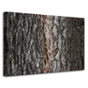 Canvas Print Nature Tree Bark 90x60