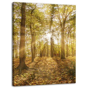 Canvas Print Sun Between Trees in the Forest 30x40 cm