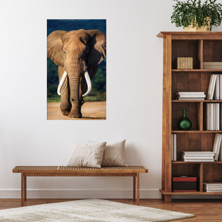 Canvas Print Big Big Elephant Animal Nature 80x120 cm