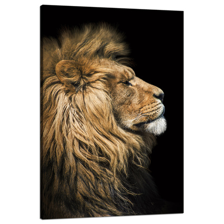 Canvas Print Portrait of a Lion Sideways Wild Nature 80x120 cm