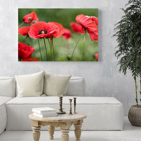 Canvas Print Botanical Red Poppies 120x40 cm Flowers Flora
