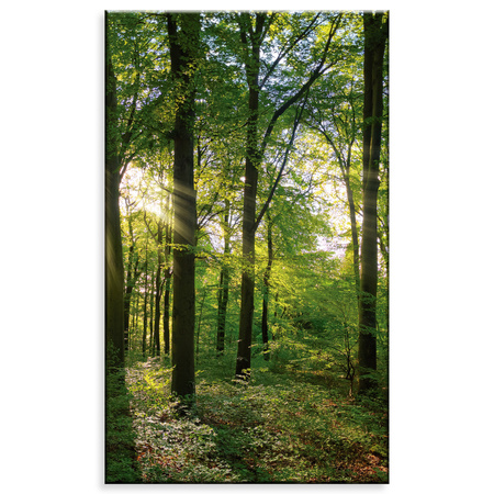 Canvas Print Sun Forest Trees Rays of Light 60x100 cm
