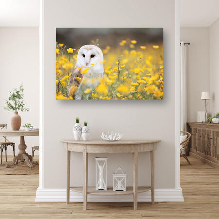 Canvas Print White Owl Flowers Nature Meadow 90x60