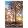 Canvas Print Trees Winter Rising Sun 40x60 cm