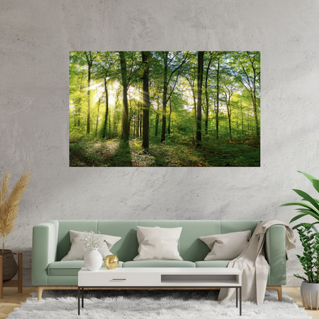Canvas Print Sun Forest Trees Rays of Light 100x80 cm