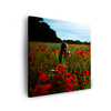 Canvas Print Nature Woman in a Poppies Field 40x40 cm