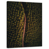Canvas Print Nature Road from a Bird's Eye View 30x40 cm