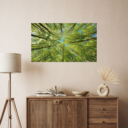 Canvas Print Leaves Trees Green Sun Sky 120x80 cm
