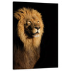 Canvas Print Illuminated Lion Beauty Mane 80x120 cm