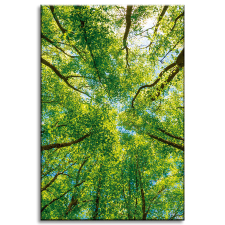 Canvas Print Trees Leaves Nature Forest Spring 40x60 cm