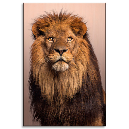 Canvas Print Lion Face Beauty Mane Hair 80x120 cm