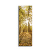 Canvas Print Sun Between Trees in the Forest 40x120 cm