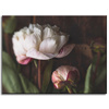 Canvas Print Botany Peonies 40x30 cm