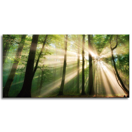 Canvas Print Sun in the Forest Trees Nature 120x60 cm