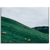 Canvas Print Nature Pasture 40x30 cm