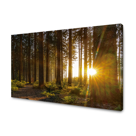 Canvas Print Sunset Forest Trees Nature 120x80 cm
