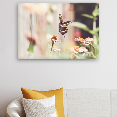 Canvas Print Nature Insect Butterfly Flowers Spring Summer 90x60