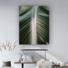 Canvas Print Nature Palm Leaf 80x120