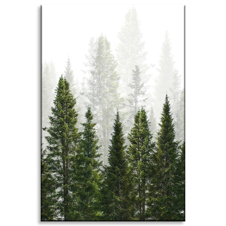 Canvas Print Rain Forest Nature Trees 80x120 cm