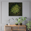Canvas Print Nature Trees from a Bird's Eye View 90x90