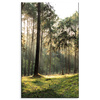 Canvas Print Forest Trees Sun Nature 60x100 cm