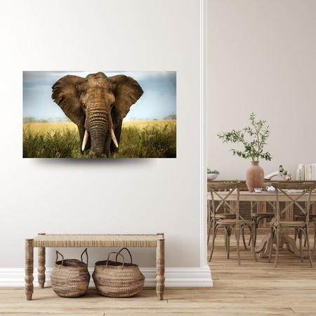 Canvas Print Elephant in Tall Grass Africa 100x80 cm
