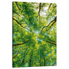 Canvas Print Trees Leaves Nature Forest Spring 80x120 cm