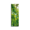 Canvas Print Trees Leaves Nature Forest Spring 40x120 cm