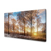 Canvas Print Trees Winter Rising Sun 70x50 cm