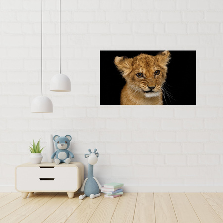 Canvas Print Baby Lion Face Eyes Beauty 100x80 cm