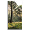 Canvas Print Forest Trees Sun Nature 60x120 cm